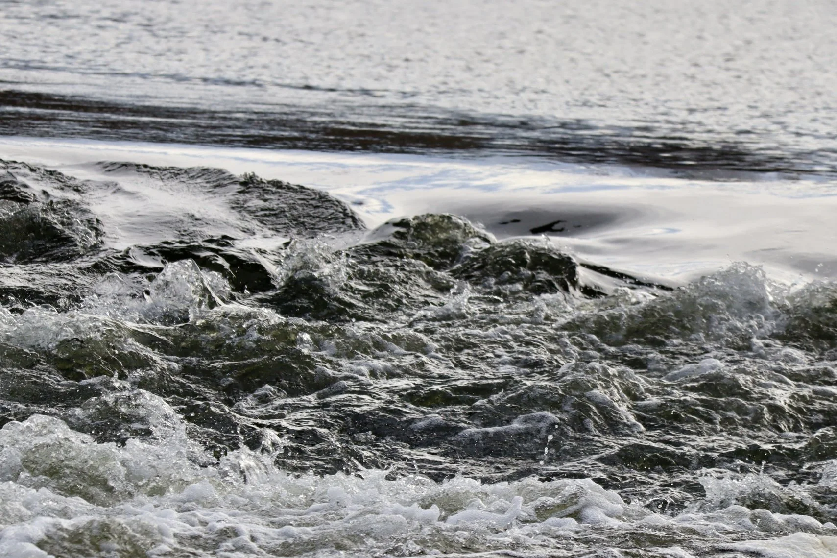 Denver - Park 7.JPEG