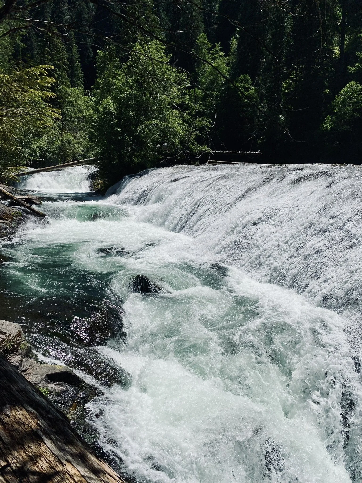 WA - Lewis Falls 1.JPEG