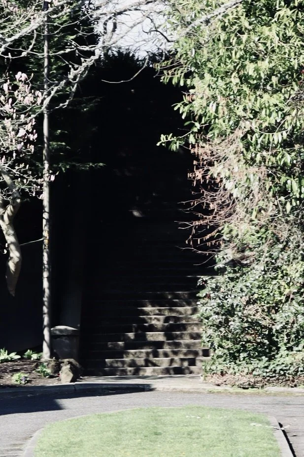 Seattle - Stairs 2.JPEG