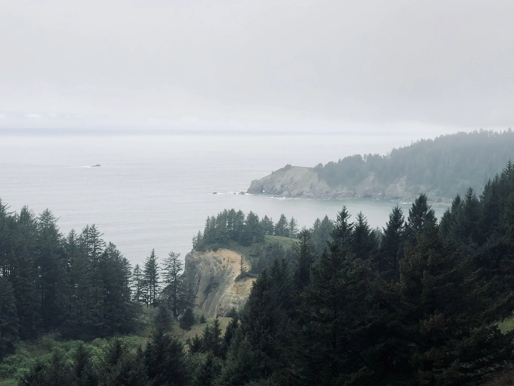 OR - Mountain Coast.JPEG