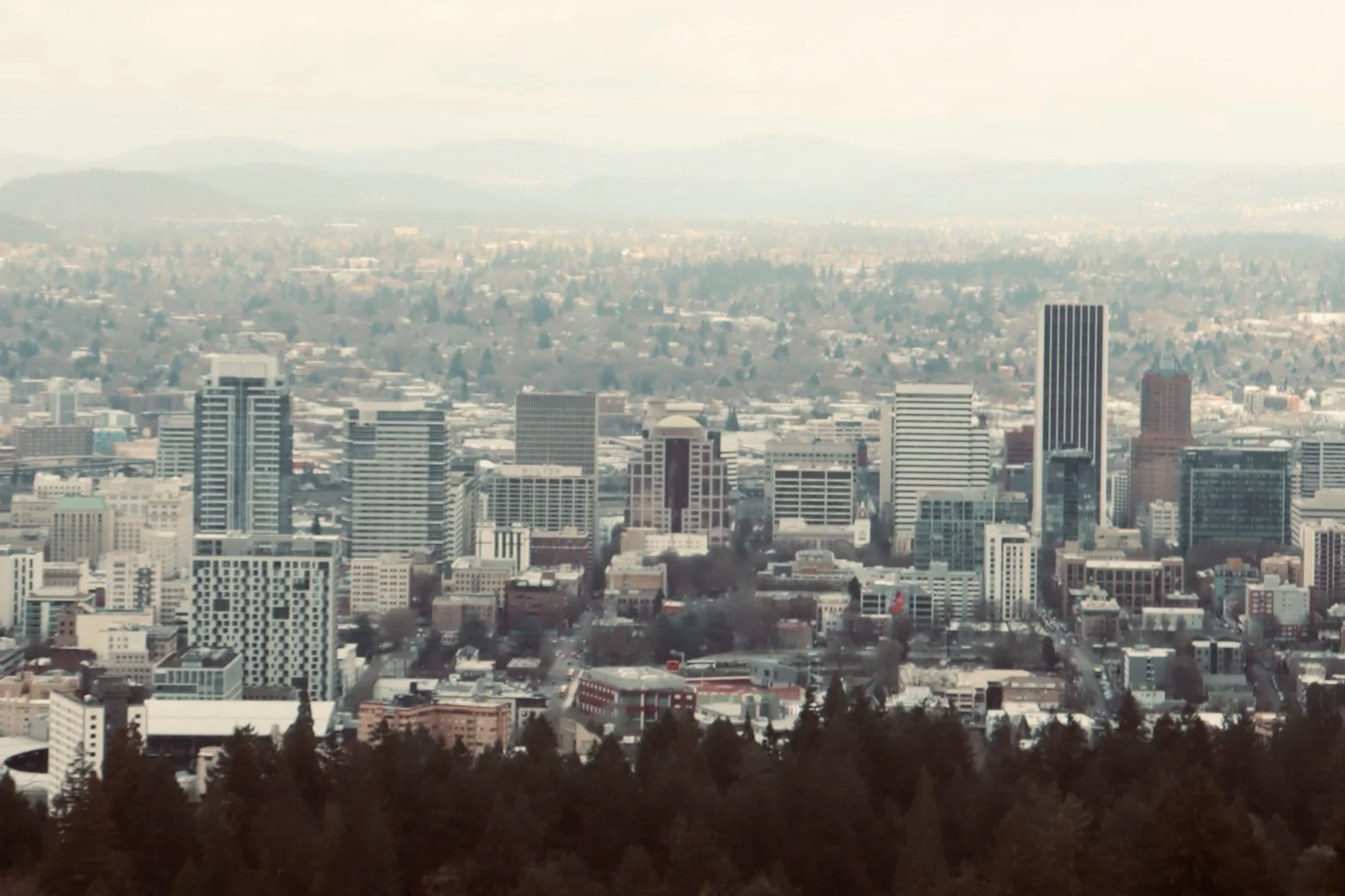 Portland - Skyline 2.JPEG