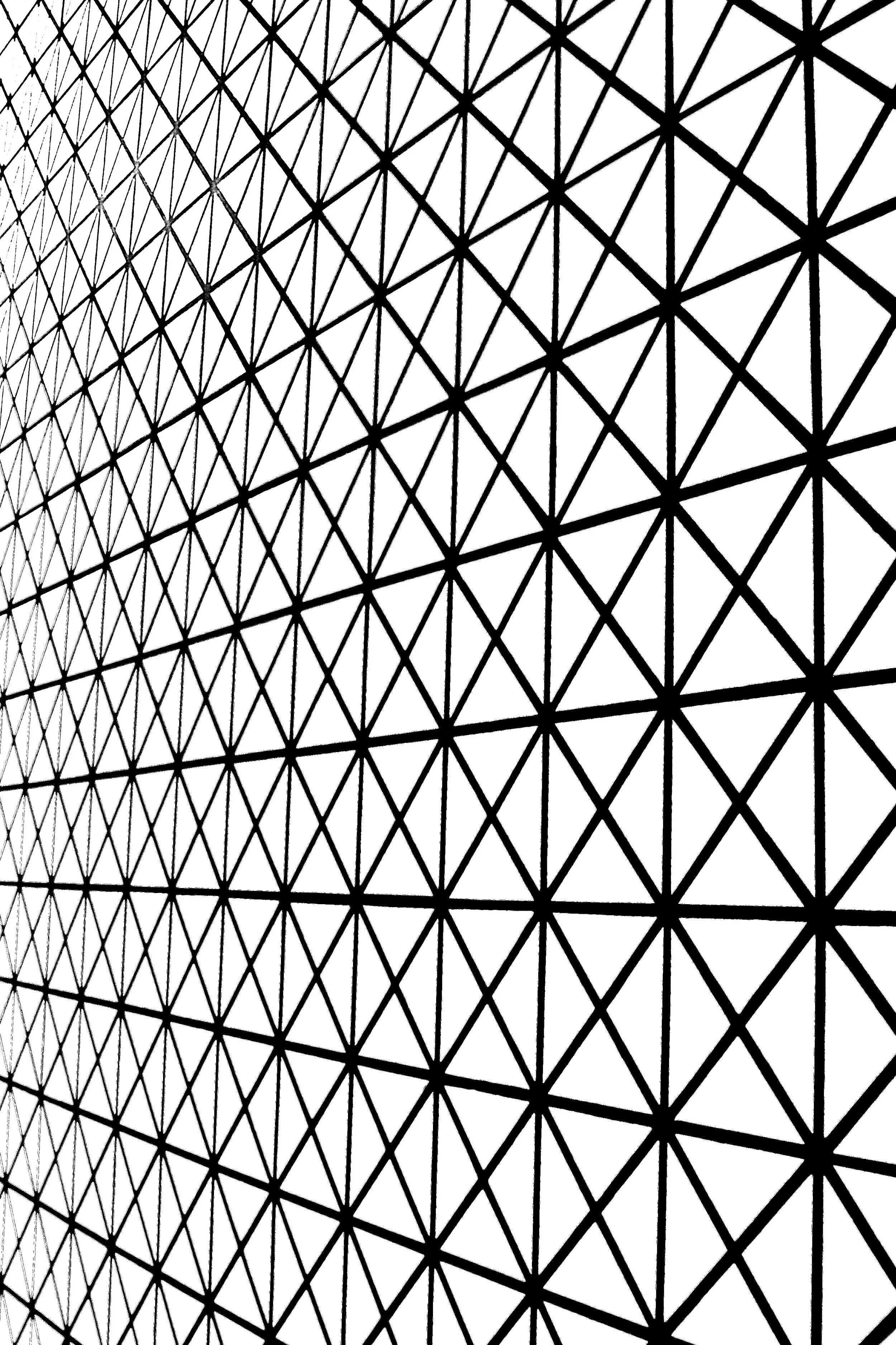 Denver - Conference - Wall 1.JPEG