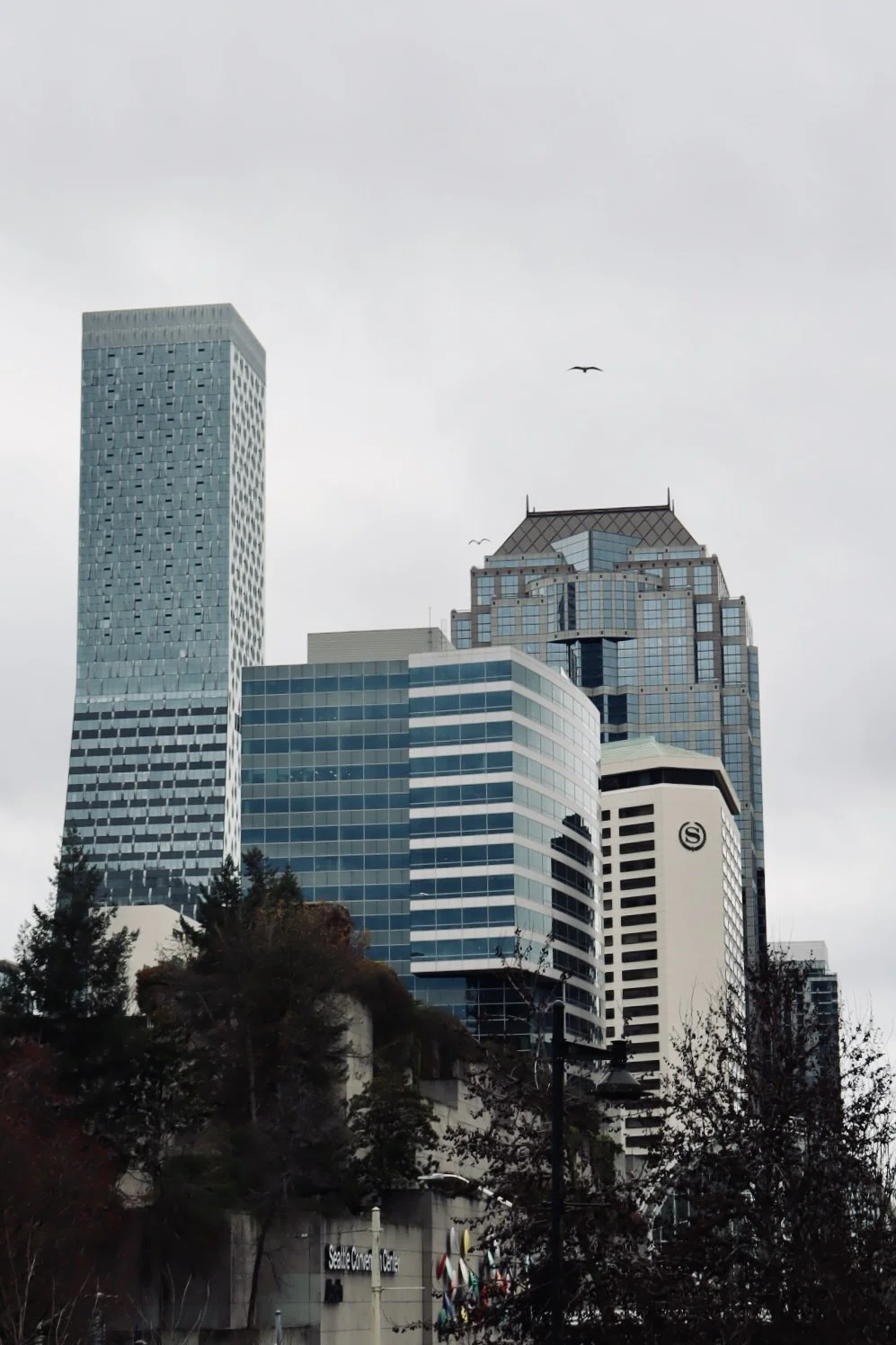 Seattle - Skyline 3.JPEG