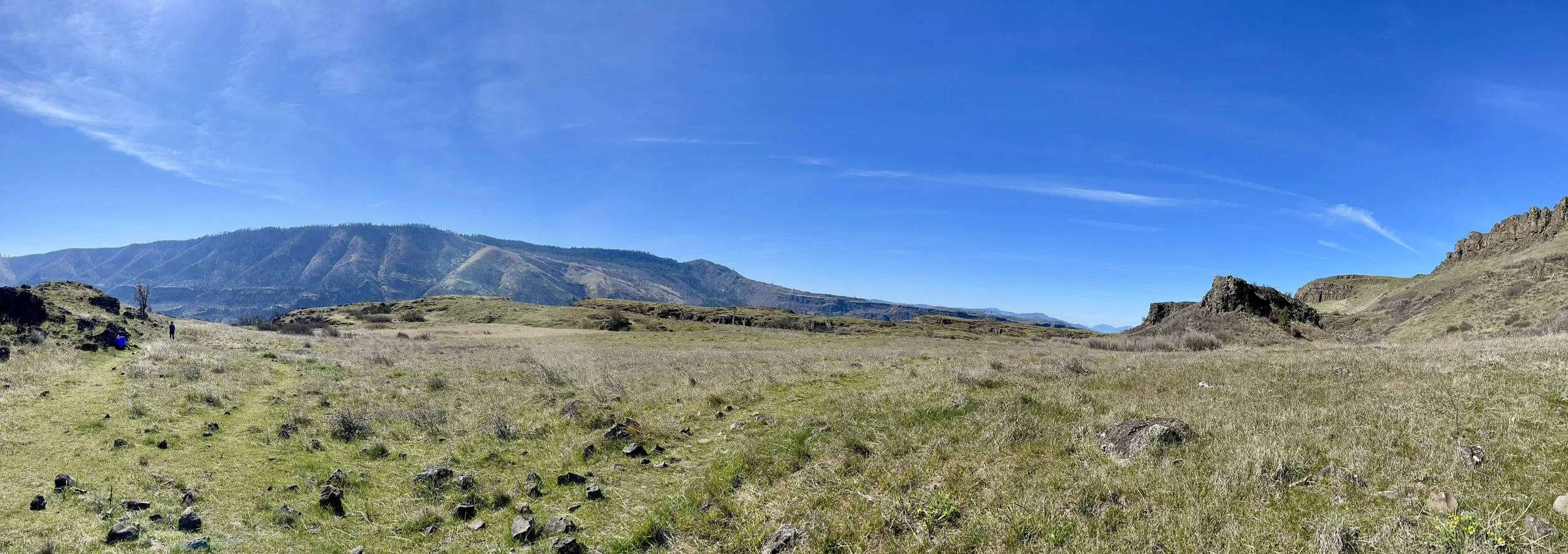 WA - Cherry Path 2.JPEG