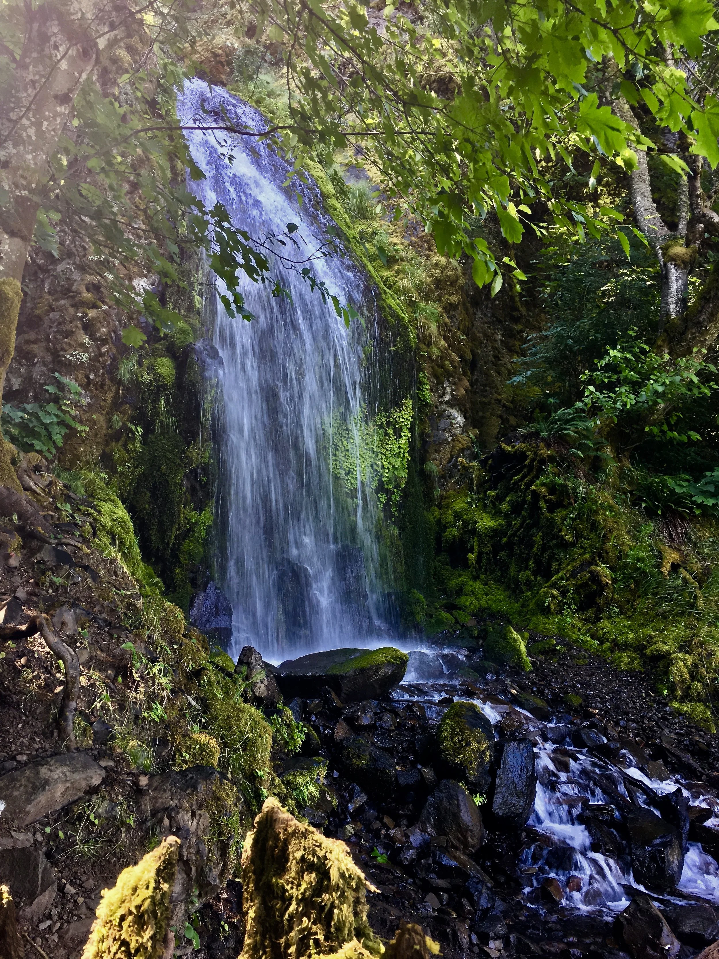 OR - Hike waterfall.JPEG