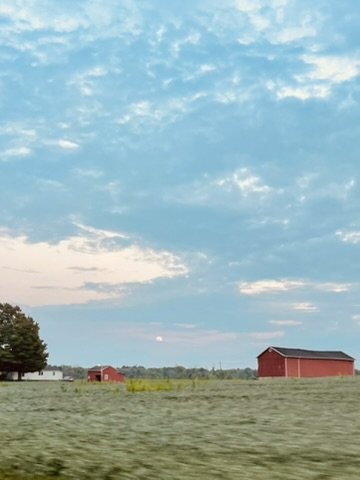 New York - Farm.JPEG