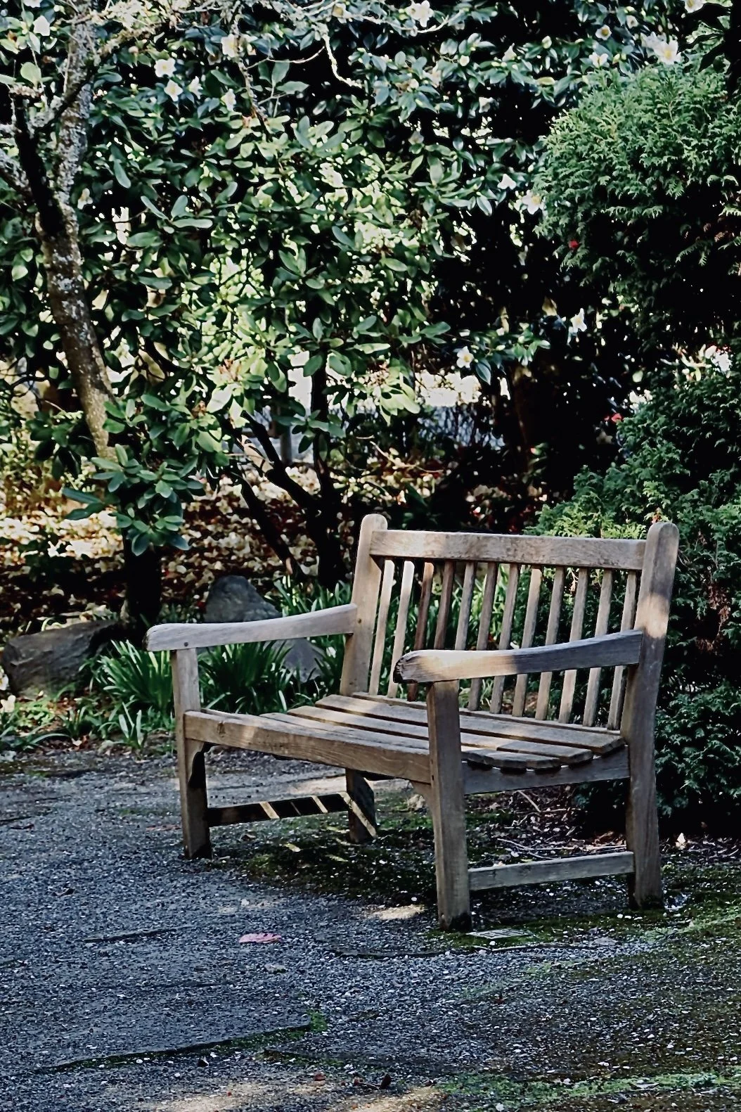 Seattle - Park 5.JPEG