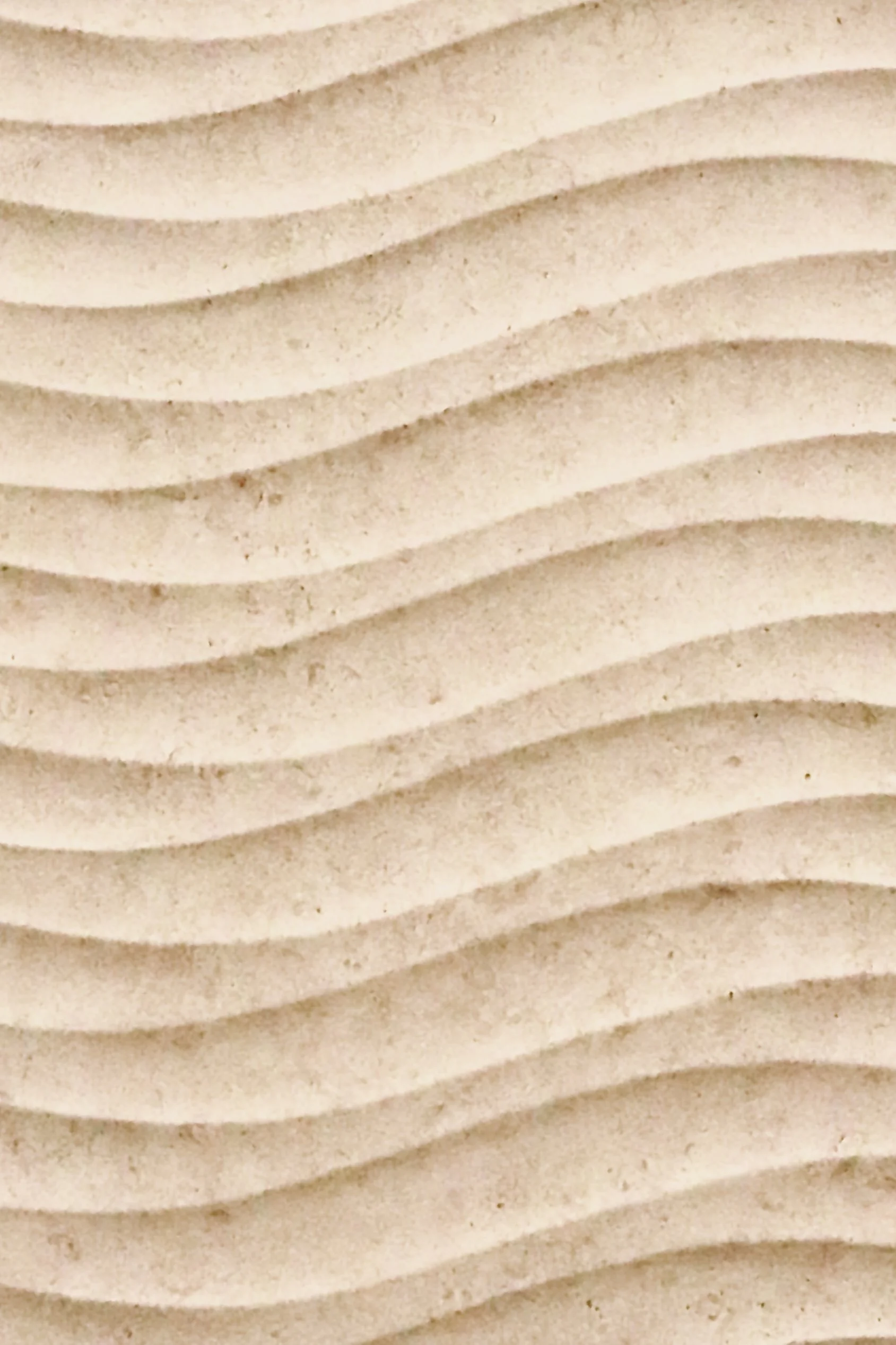 Denver - Conference - Wall 5.JPEG