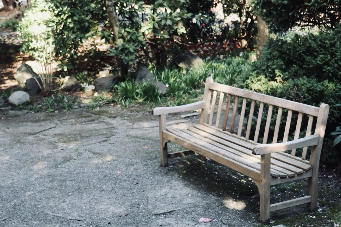 Seattle - Park 4.JPEG