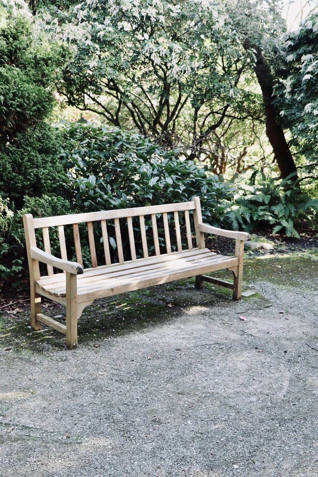 Seattle - Park 3.JPEG