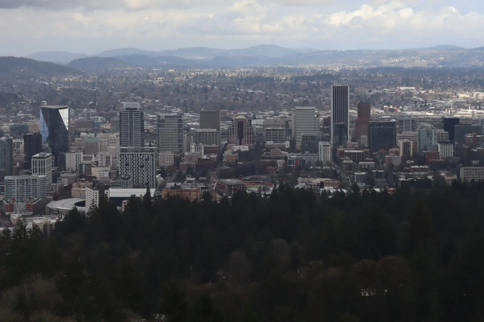 Portland - Skyline 1.JPEG
