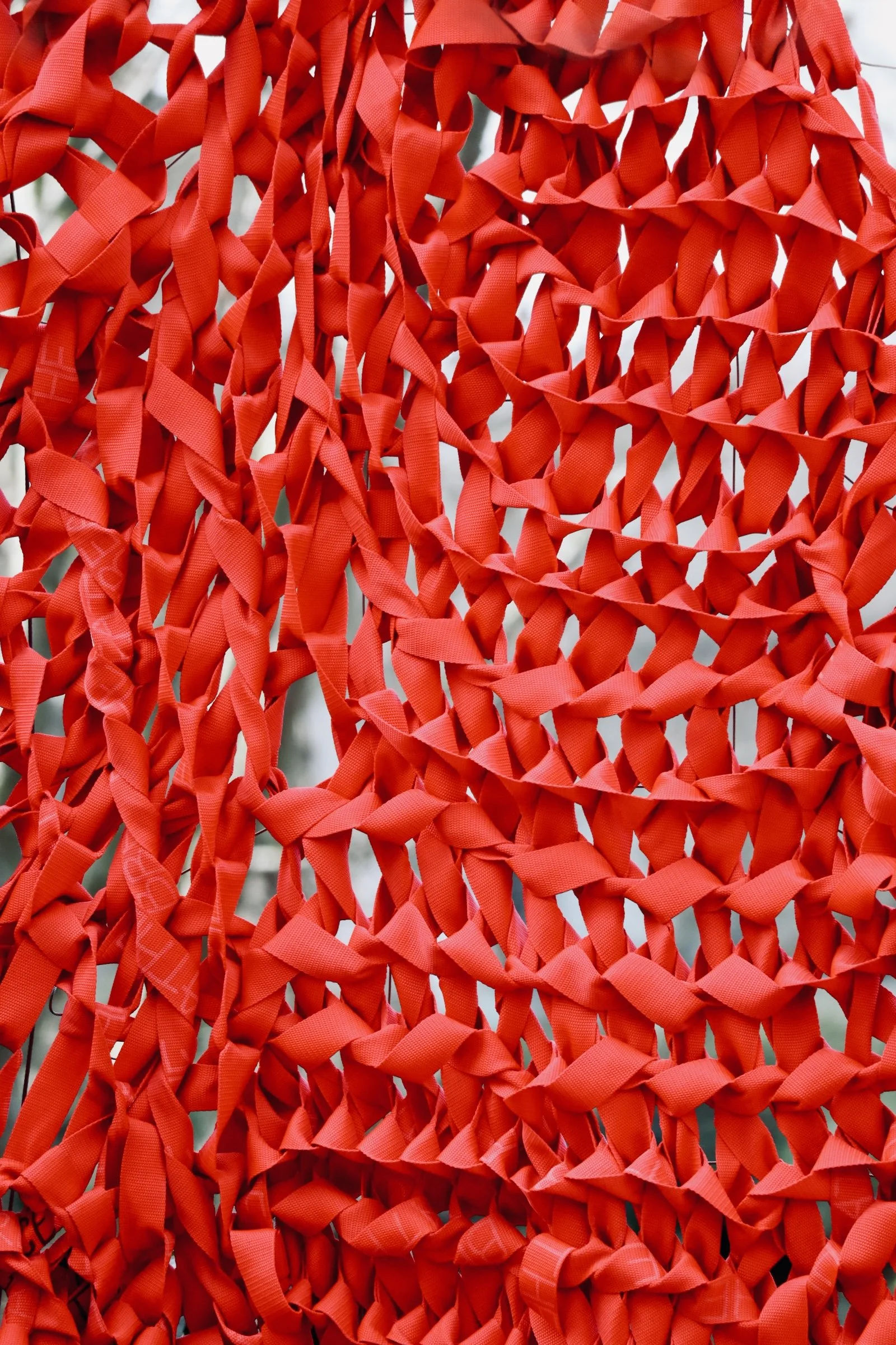 Seattle - Center - Net 2.JPEG