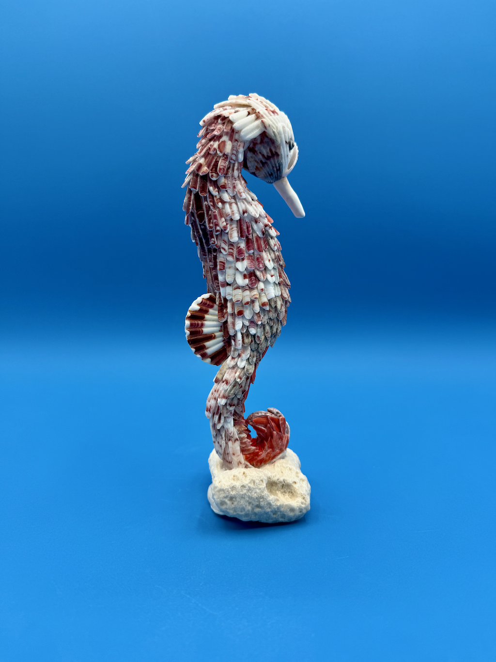 Spiral the Seahorse, handcrafted from calico scallop, whelk, and moon snail shells, elegantly displayed on a vintage coral base as a unique coastal art piece.