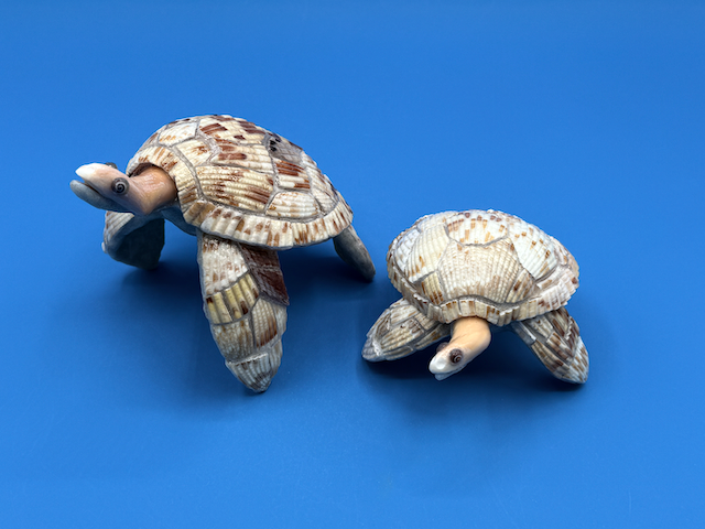 Large Sprint with small Lightning real shell sea turtle sculpture