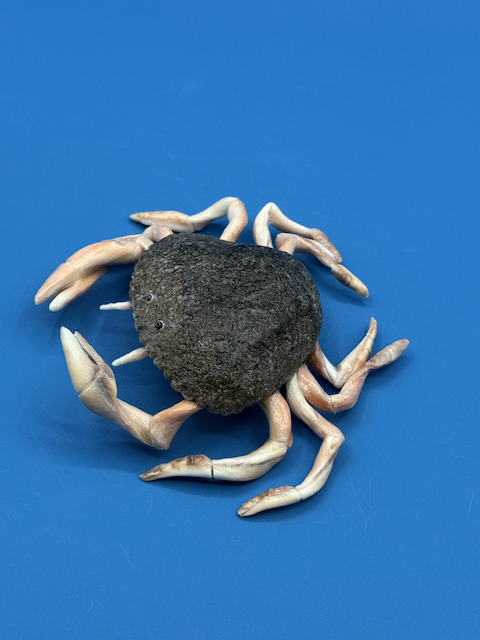 Handcrafted coastal crab sculpture made from quahog shells with crown whelk legs and claws, moon snail shell eyes, and a natural sand-textured finish.