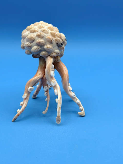 Handcrafted octopus sculpture made from natural whelk, slipper, and moon snail shells with detailed coastal texture