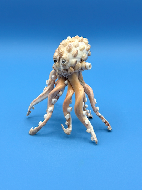 Handcrafted octopus sculpture made from natural whelk, slipper, and moon snail shells with detailed coastal texture