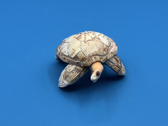 Lightning - Small Handcrafted Sea Turtle Coastal Sculpture