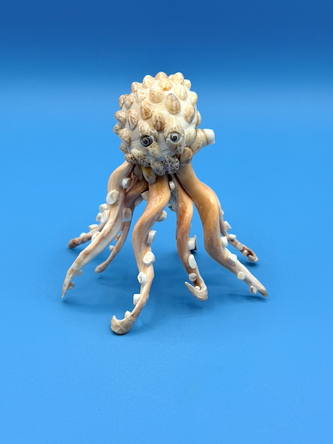 Handcrafted octopus sculpture made from natural whelk, slipper, and moon snail shells with detailed coastal texture