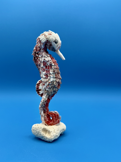 Side view of Spiral, a one-of-a-kind shell seahorse sculpture mounted on vintage coral.