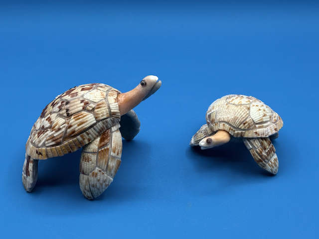 Lightning with Sprint the large sea turtle