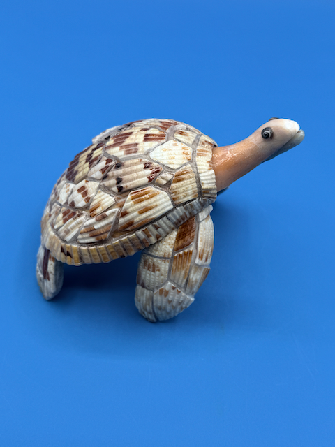 Sprint the large Sea Turtle