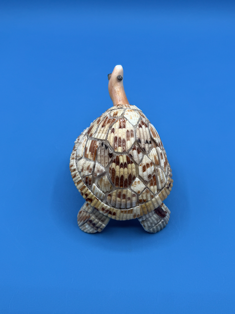 real shell sea turtle sculpture