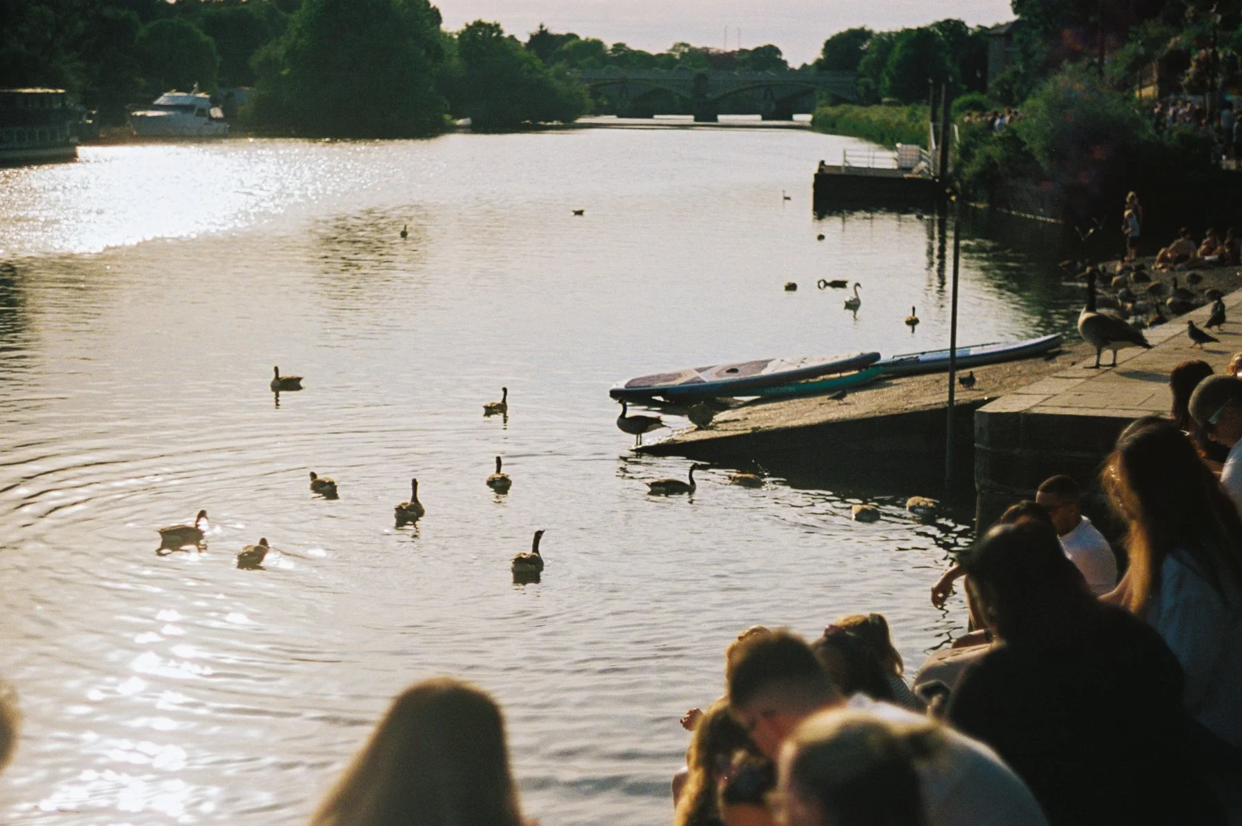 R1-01647-023A.jpg