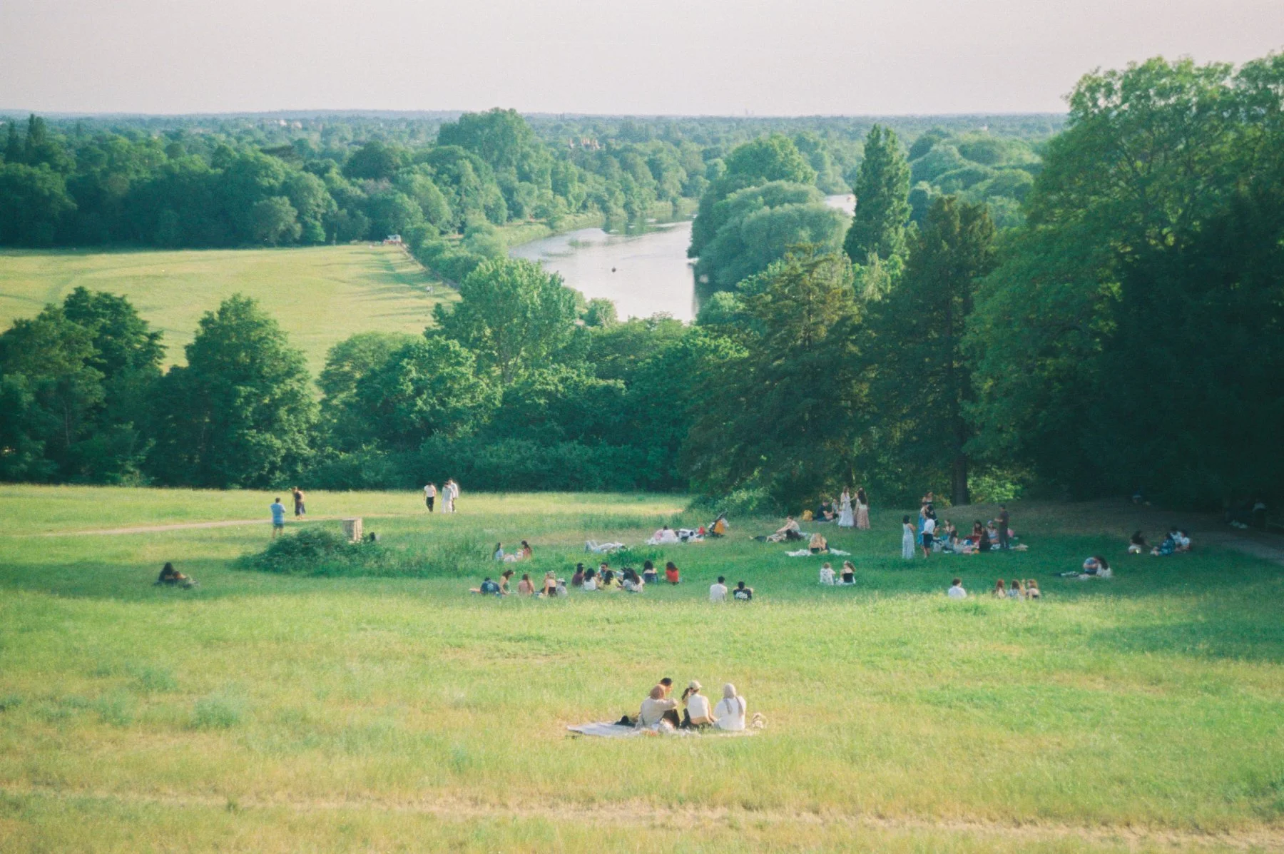 R1-01647-029A.jpg