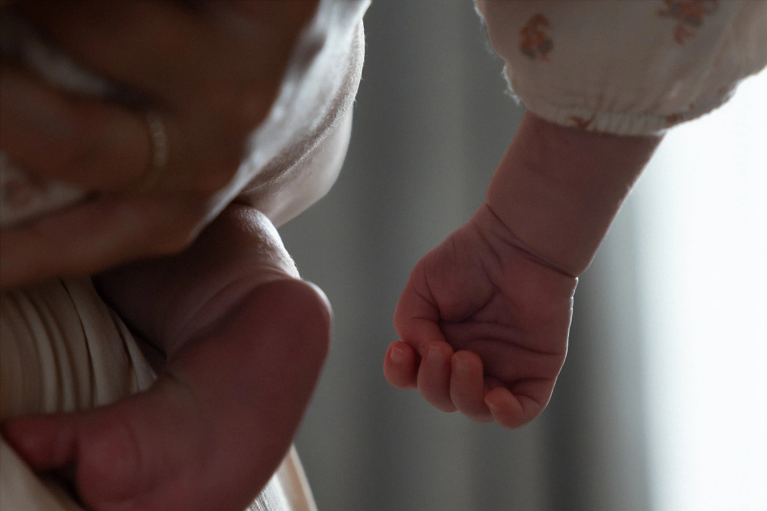 Close-up of a parent's hand holding a baby's tiny hand. Image of a family photoshoot session done by papaleo productions.