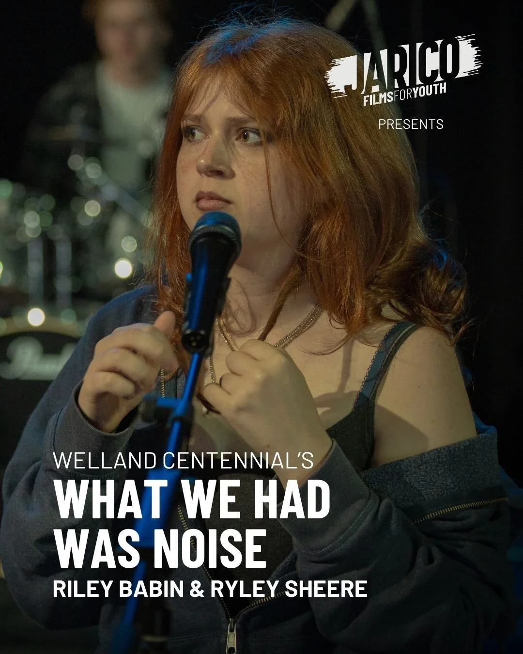 What We Had Was Noise.jpg