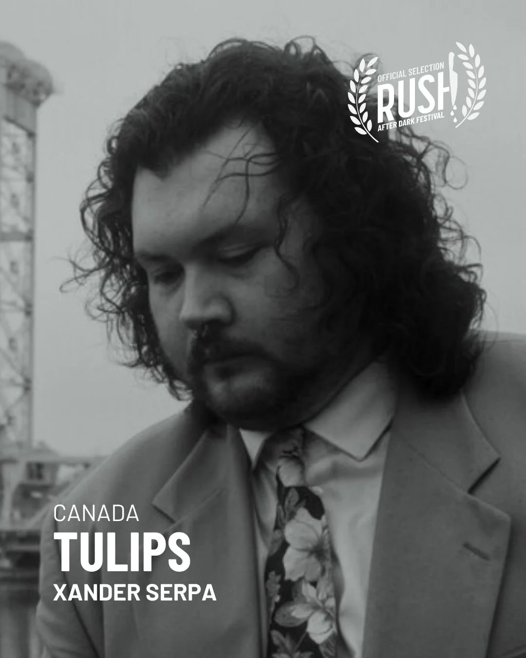 Tulips.jpg