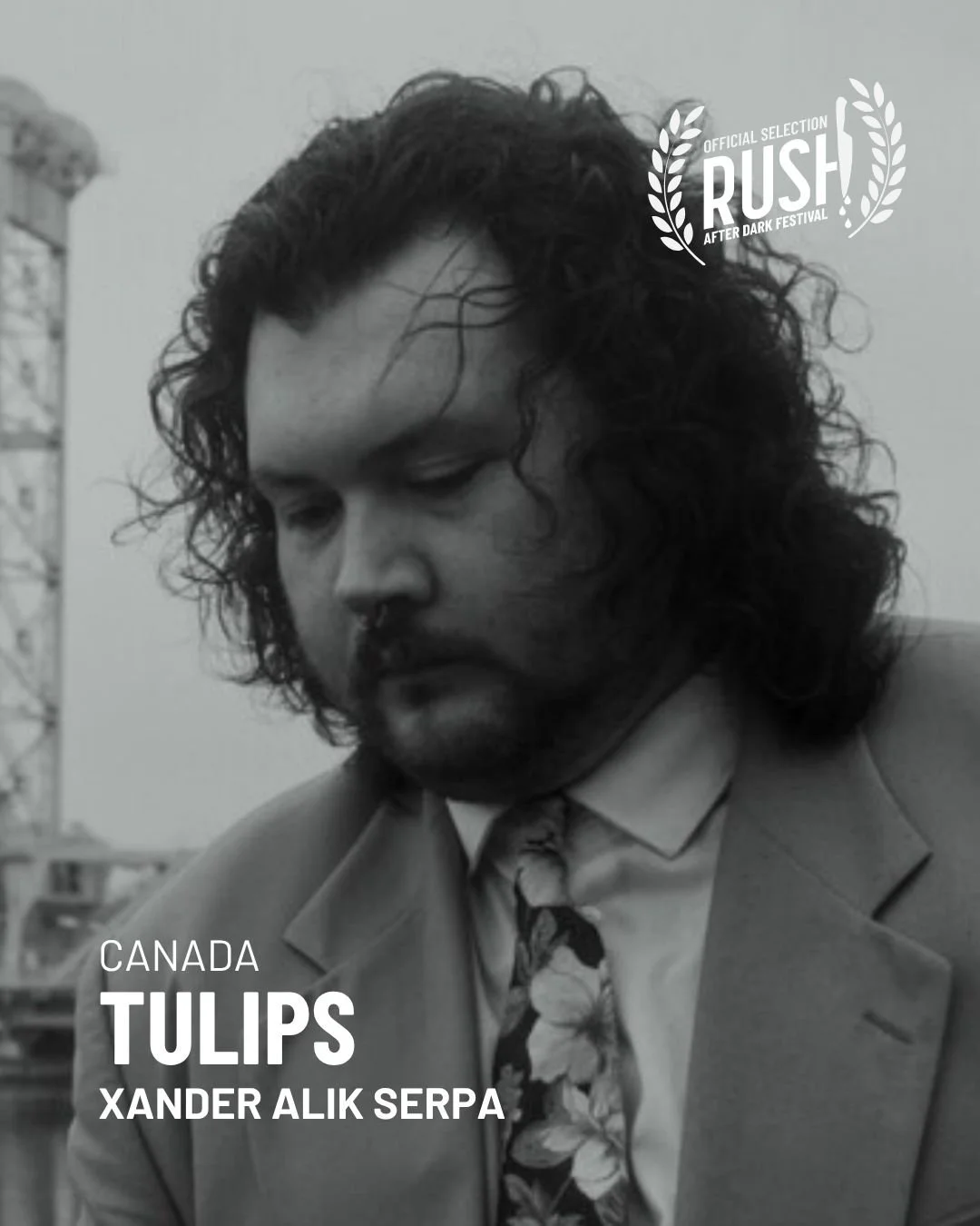 Tulips.jpg