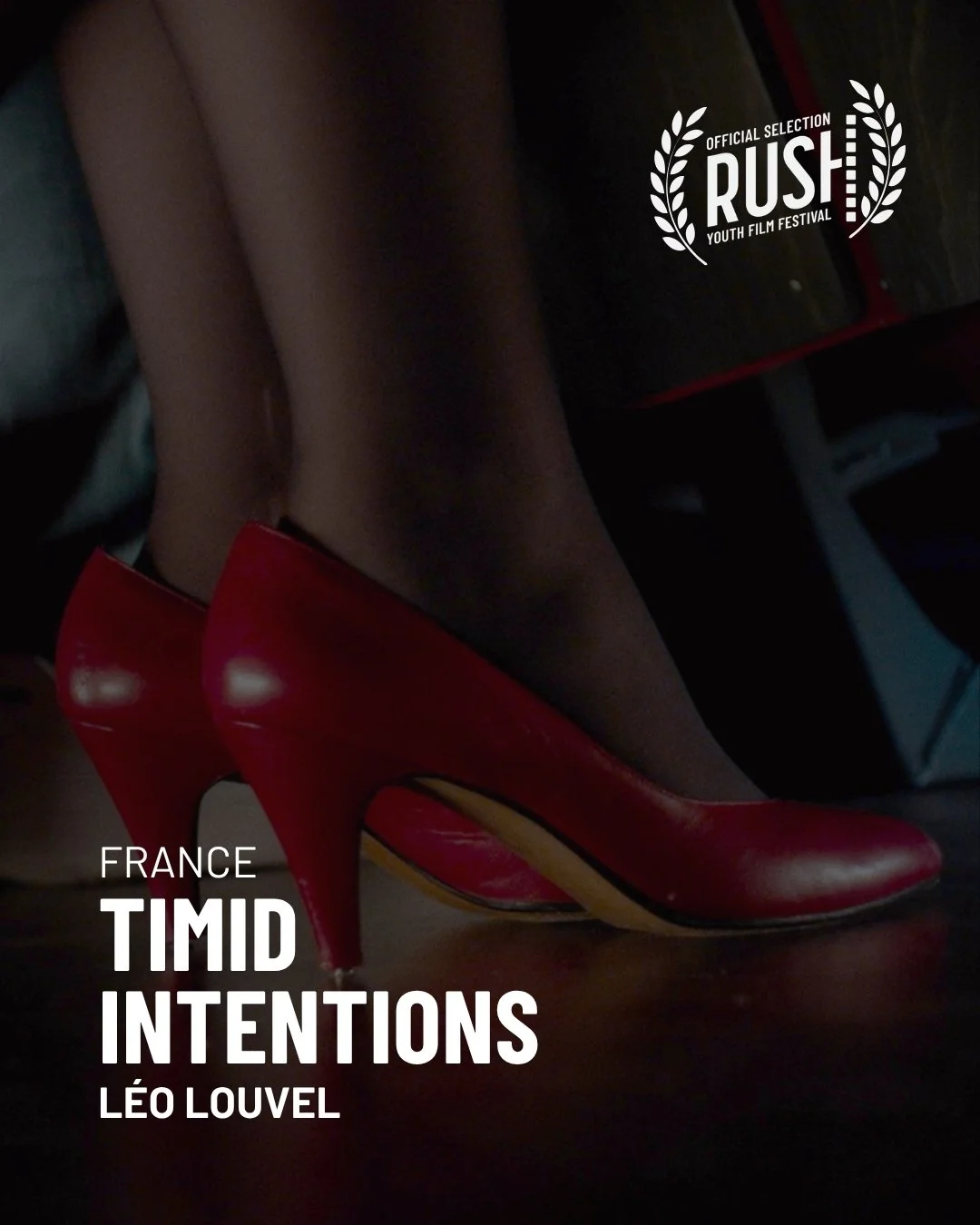 Timid Intentions.jpg
