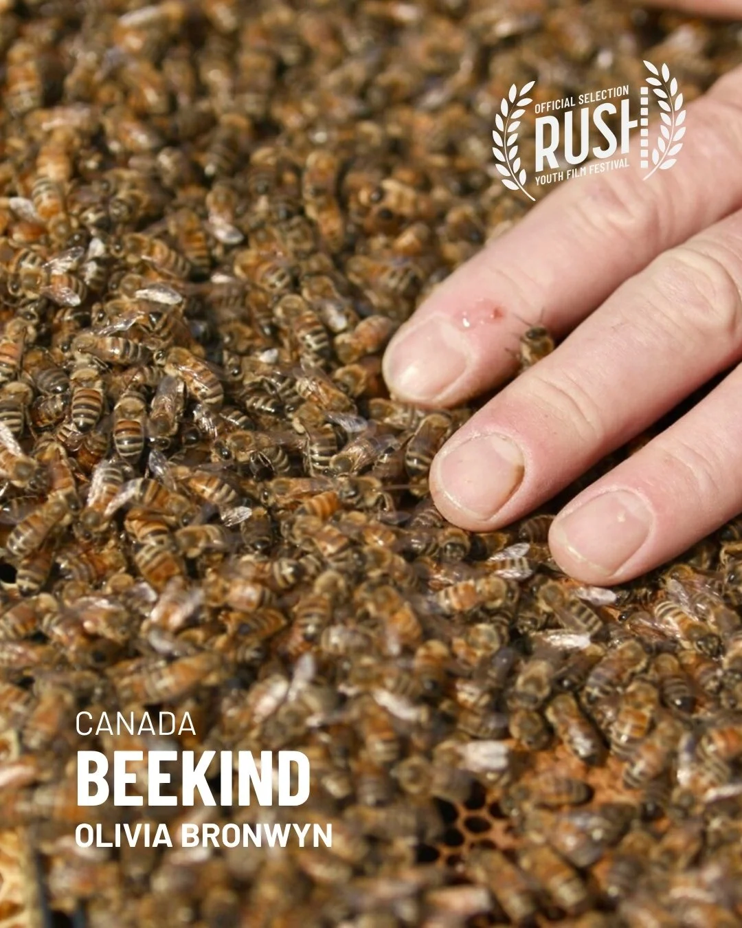 Beekind.jpg