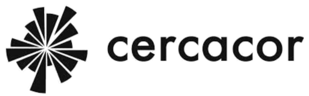 Logo with a stylized radial geometric design and the word 'cerdecor' next to it.
