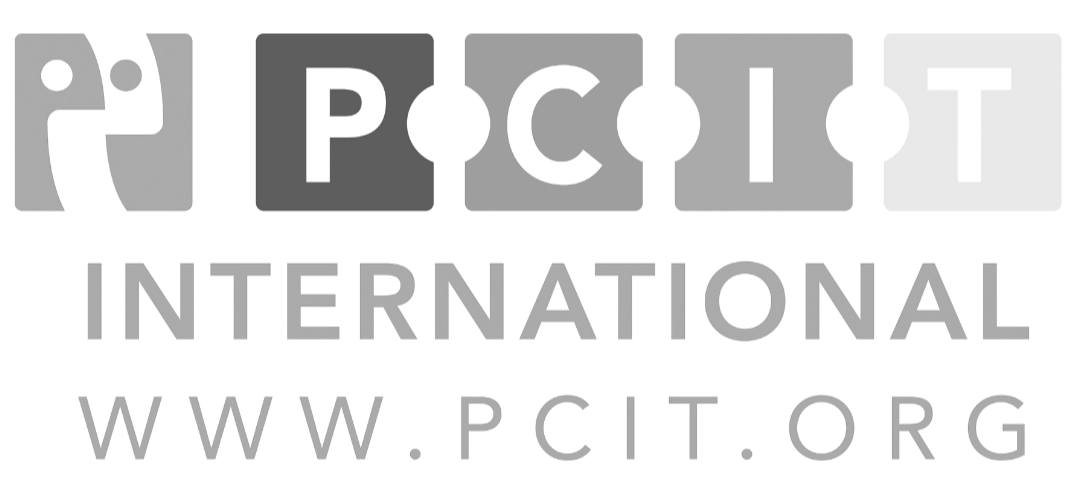 PCIT International logo with website URL www.pc(it).org