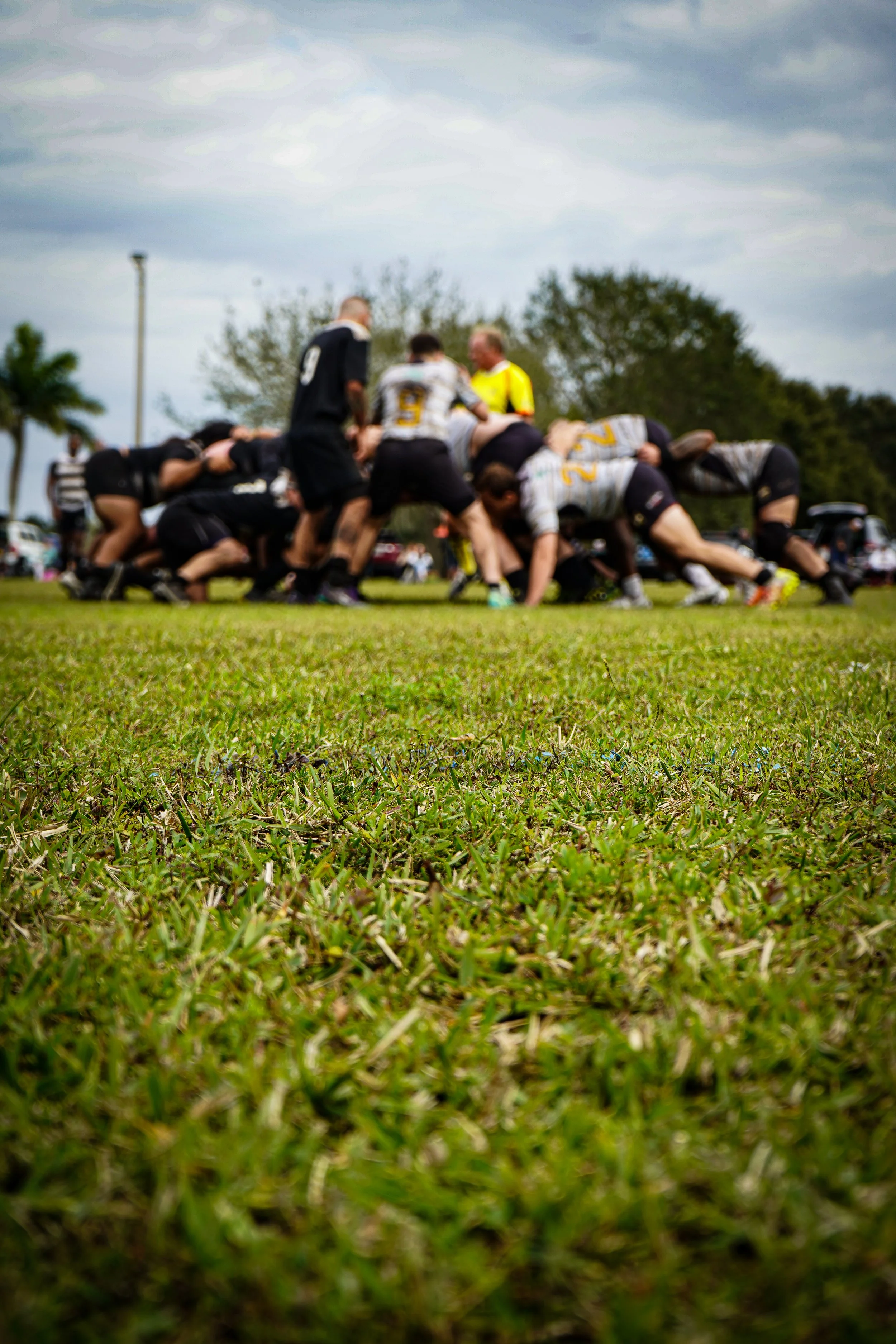 American football players in a scrum on a grassy field during a cloudy day, with trees and spectators in the background.