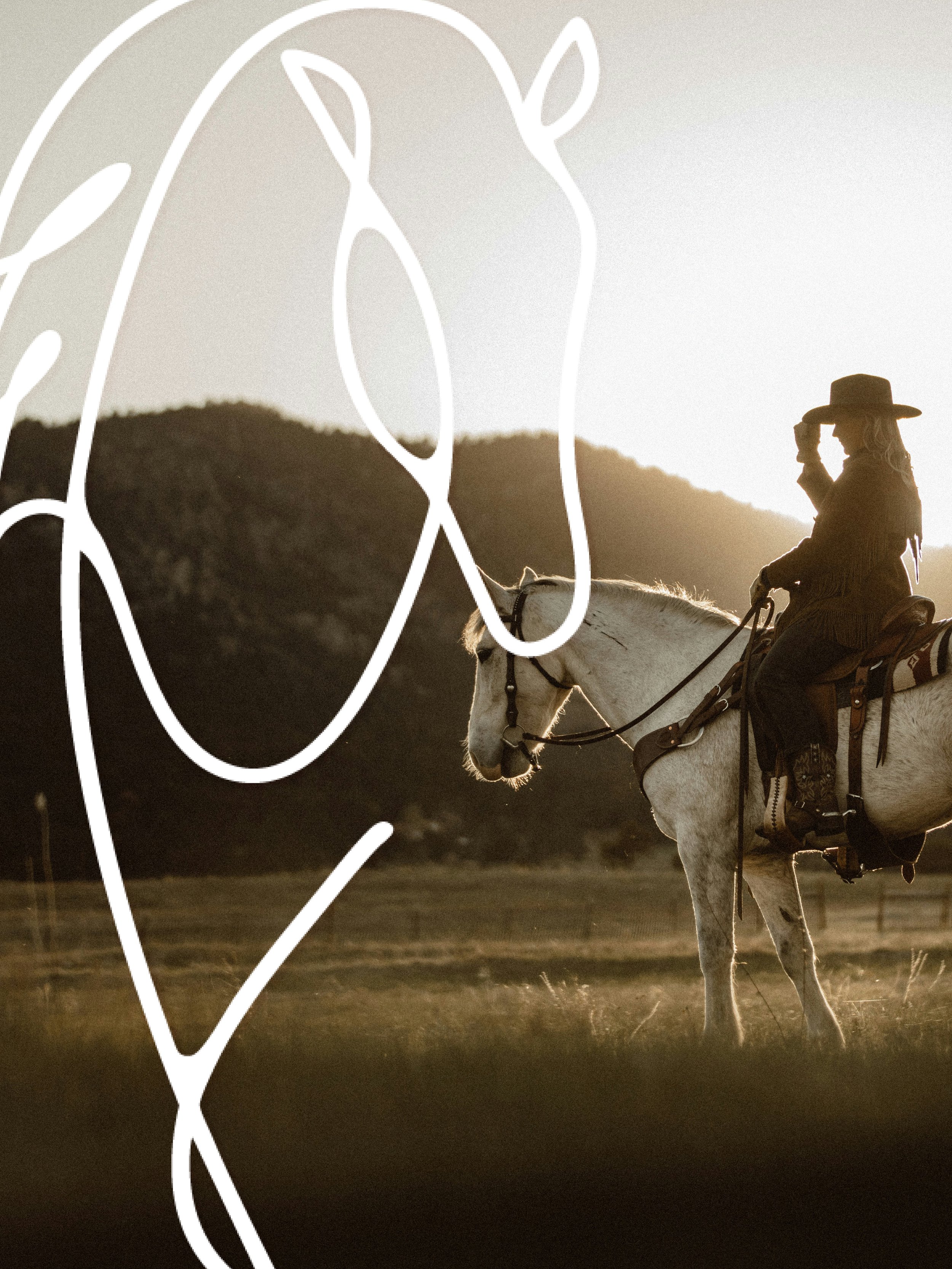 Brand Identity | Wild Roan Estates