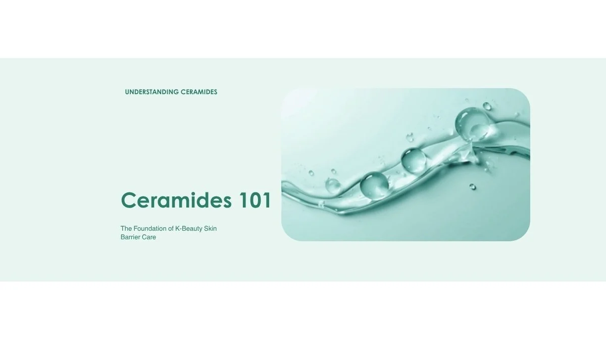 Ceramides 101: Why This Lipid Is the Foundation of K-Beauty Skin Barrier Care