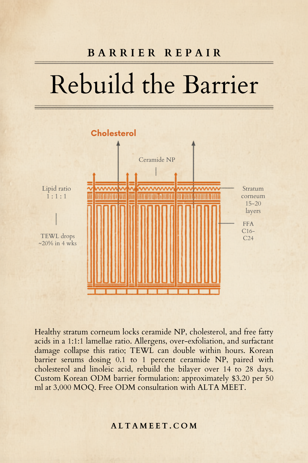 Rebuild the Skin Barrier: Lipid Lamellae 1:1:1