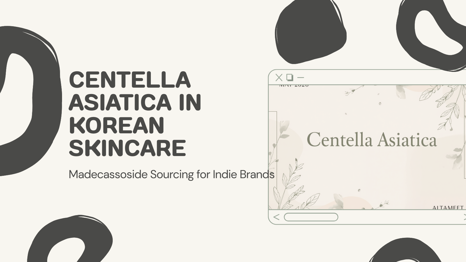 Centella Asiatica in Korean Skincare: Madecassoside Sourcing for Indie Brands (2026)