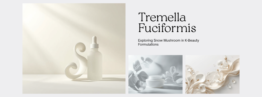 Tremella Fuciformis (Snow Mushroom) in Korean K-Beauty: A 2026 Sourcing and Formulation Deep Dive for Indie Founders