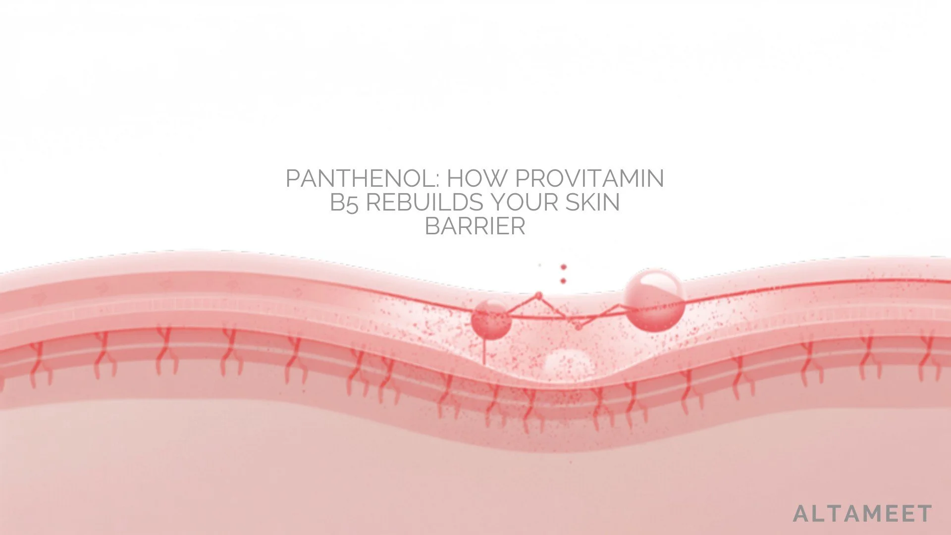 Panthenol: How Provitamin B5 Rebuilds Your Skin Barrier From the Inside