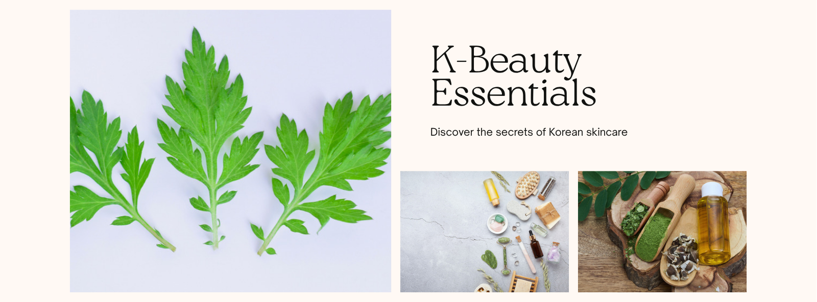 Mugwort in Korean K-Beauty: An Indie Founder's Artemisia Sourcing and Formulation Guide 2027
