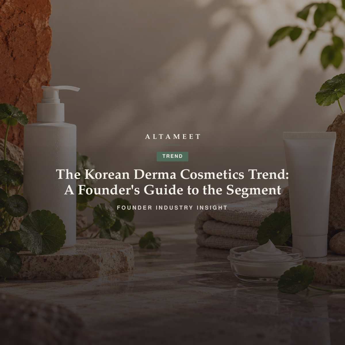 The Korean Derma Cosmetics Trend: A Founder's Guide to the Segment