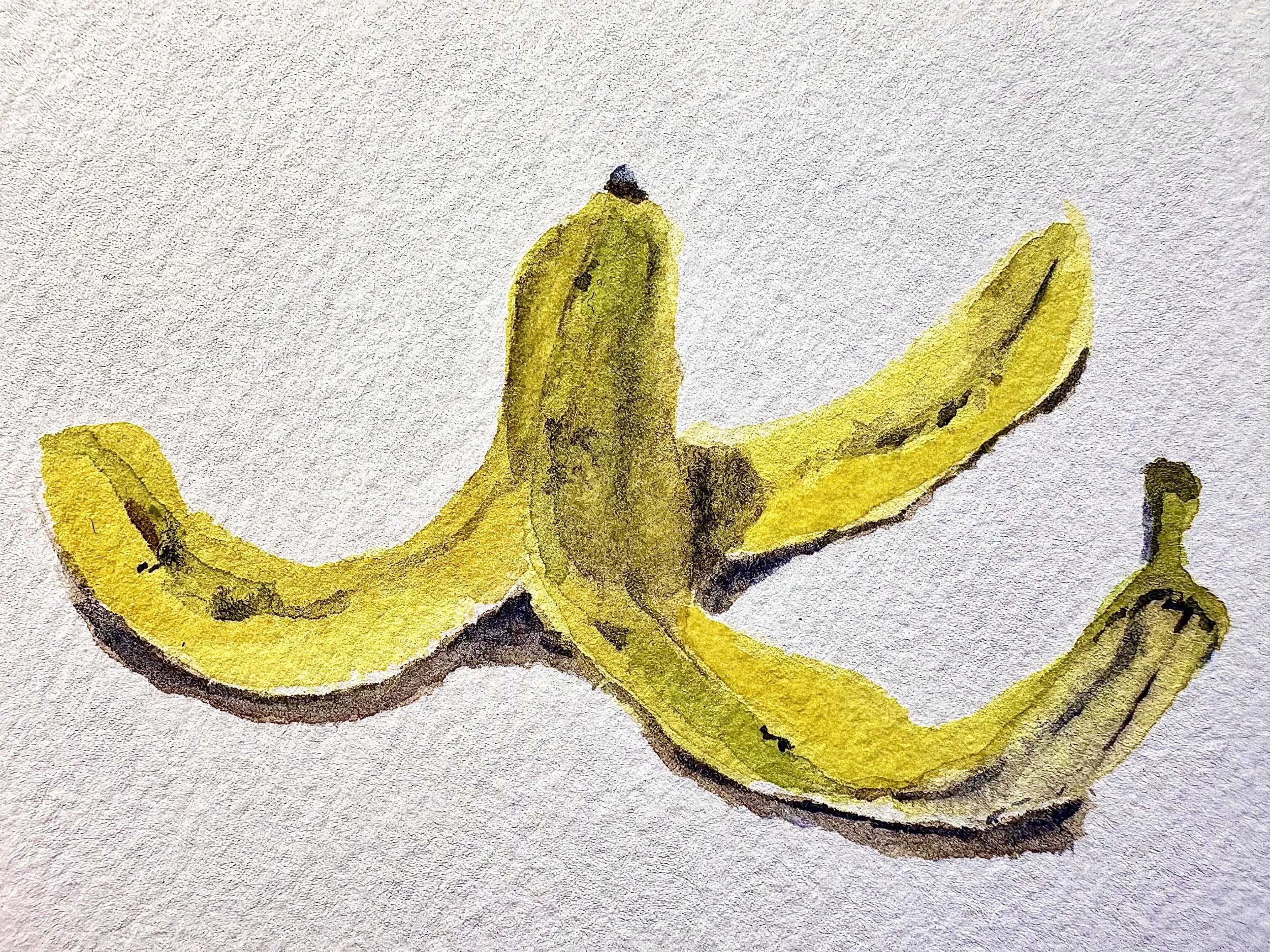 Banana Peel; watercolor