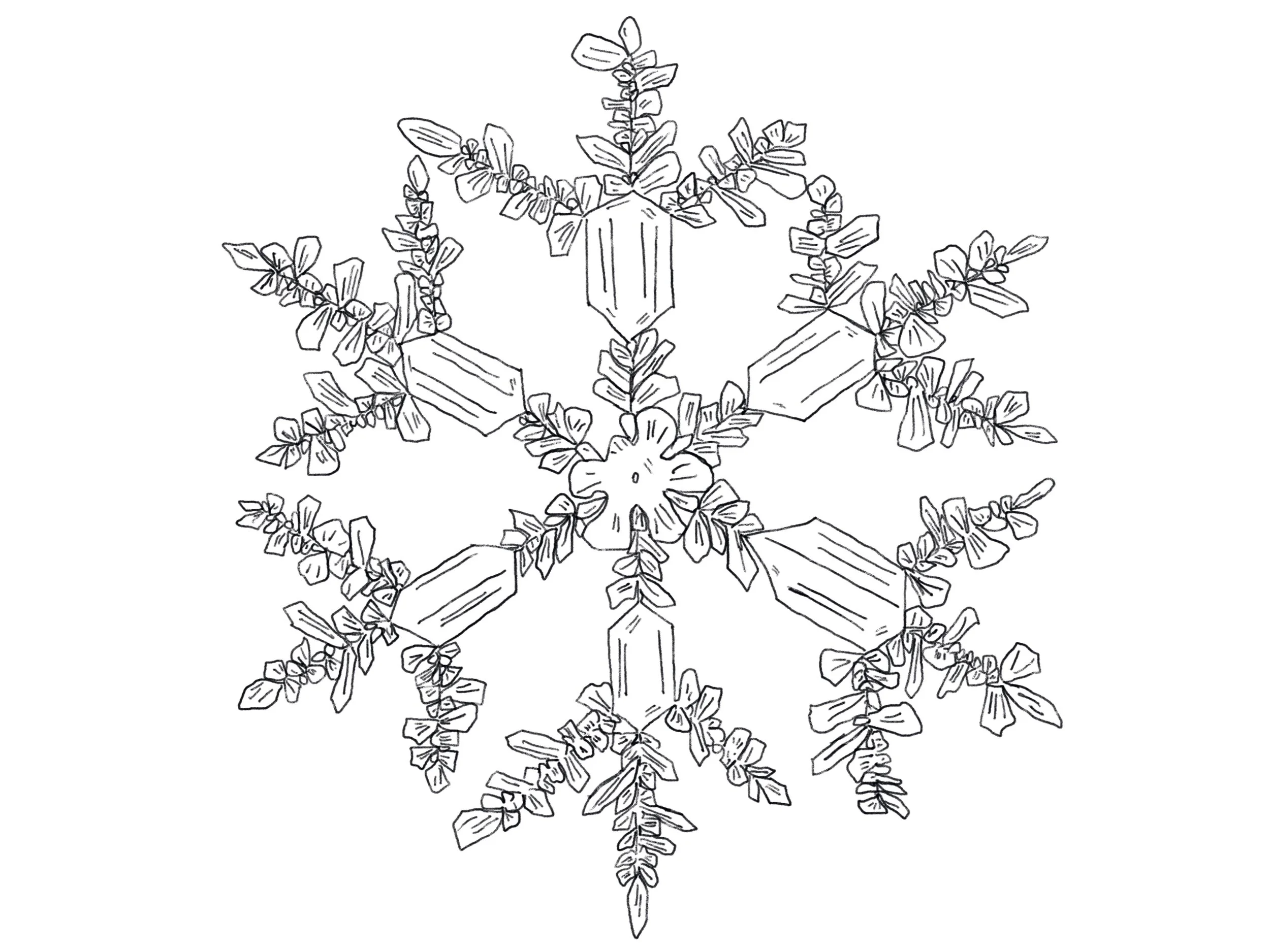 Snowflake