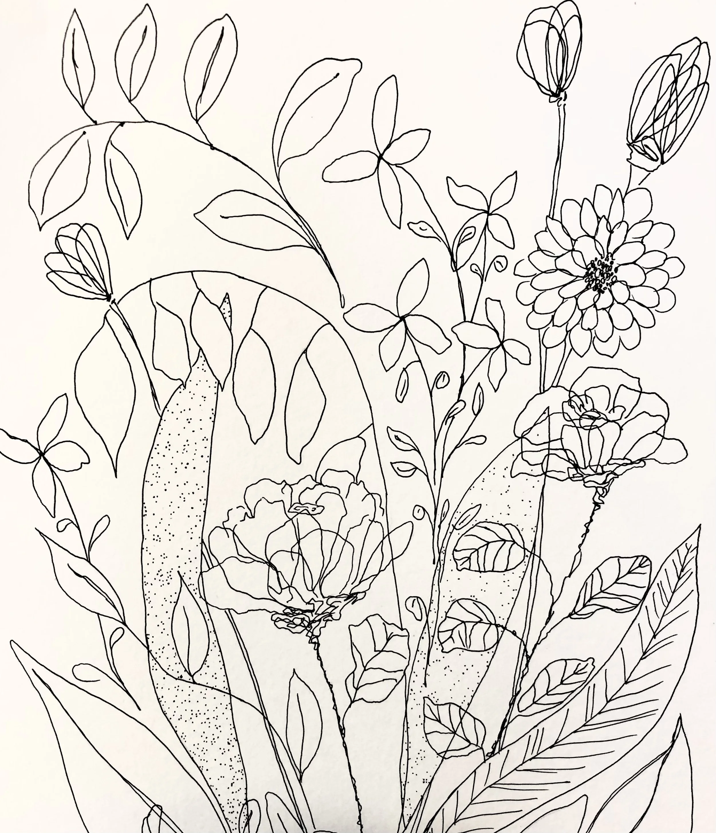 Abstract wildflowers; ink