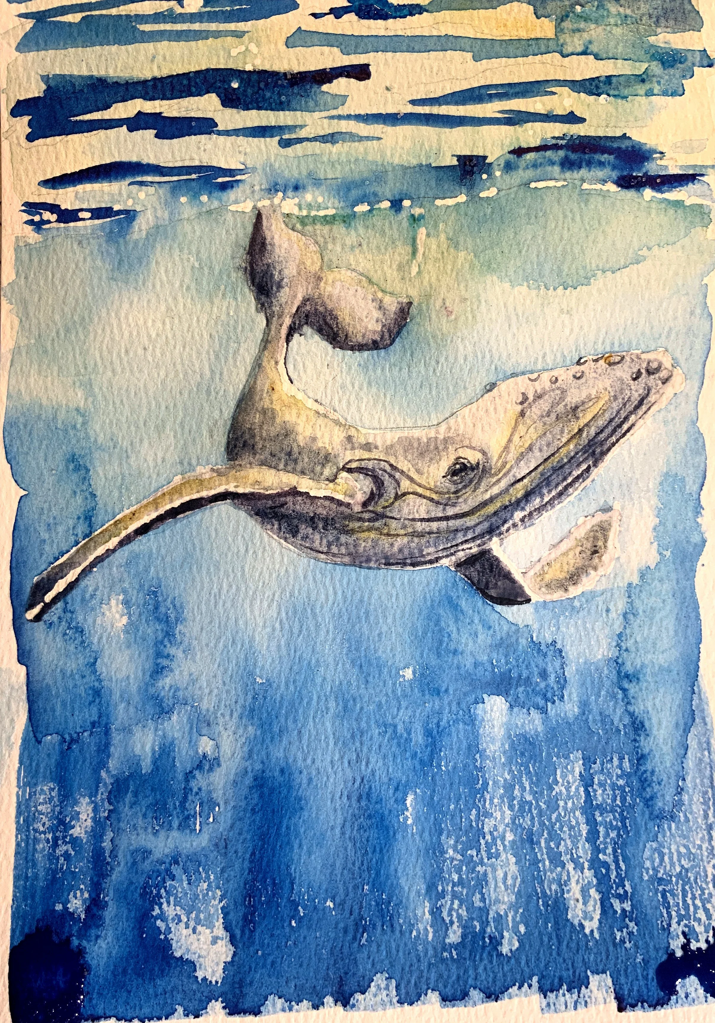 A Whale’s Heart is the size of a Car; watercolor